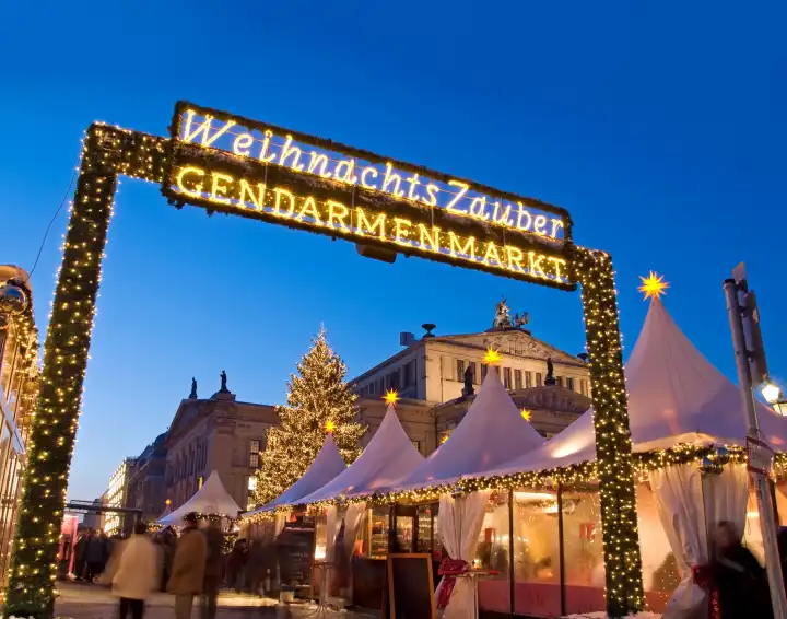 2010, berlin christmas market on gendarmenmarkt with christmas tree