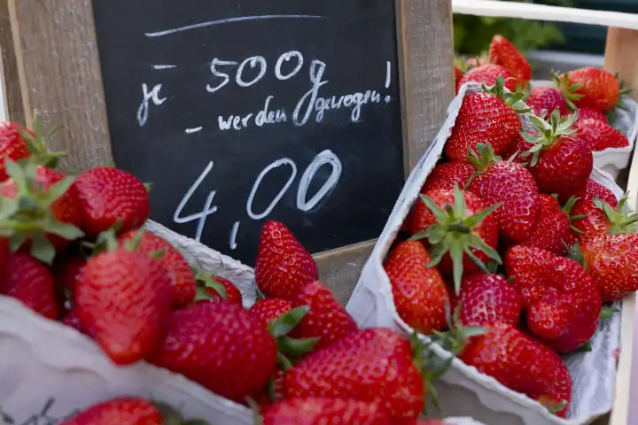 Preisschild Erdbeeren