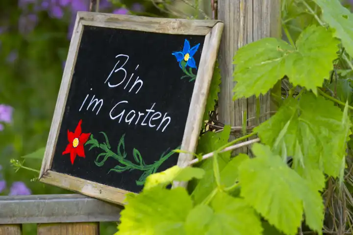 Sign Am in garden