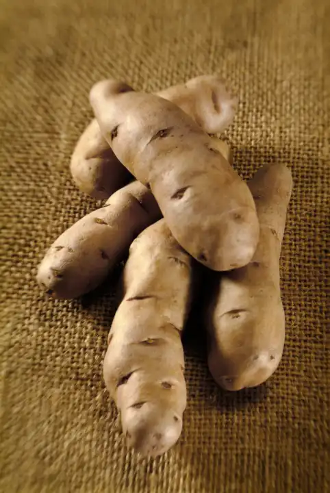 Potato Bamberger Hörnchen