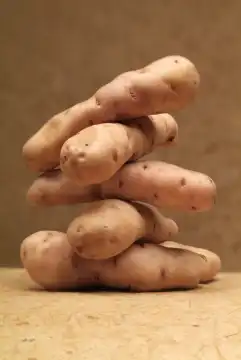 Group of Potato Bamberger Hörnchen