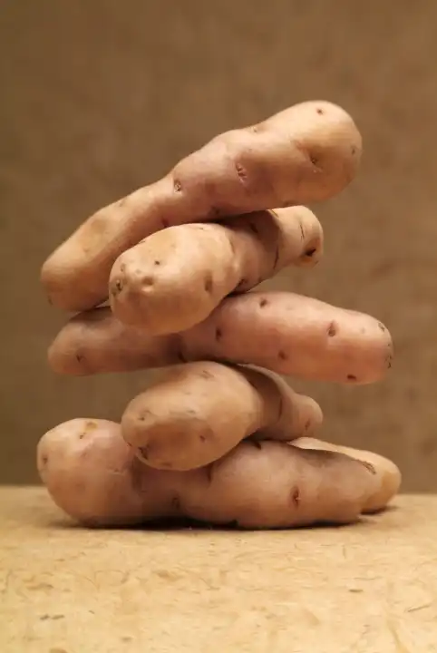 Group of Potato Bamberger Hörnchen