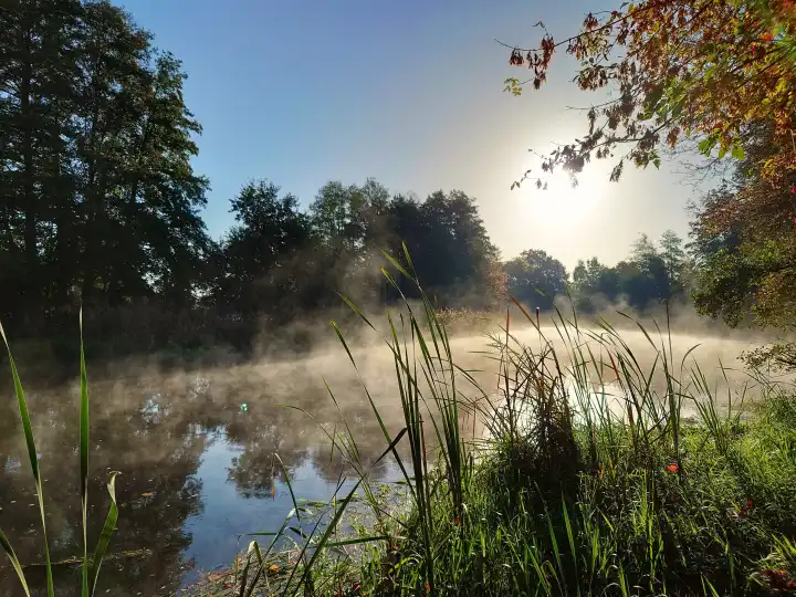frühmorgendlicher Herbstnebel an der Müggelspree, Land Brandenburg