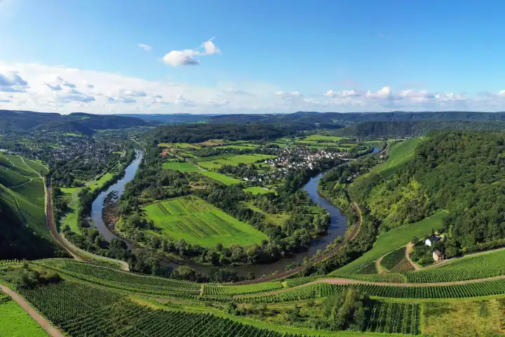 Wiltinger Saarbogen. The river winds through the valley and is surrounded by vineyards and green forests. Kanzem, Rhineland-Palatinate, Germany.