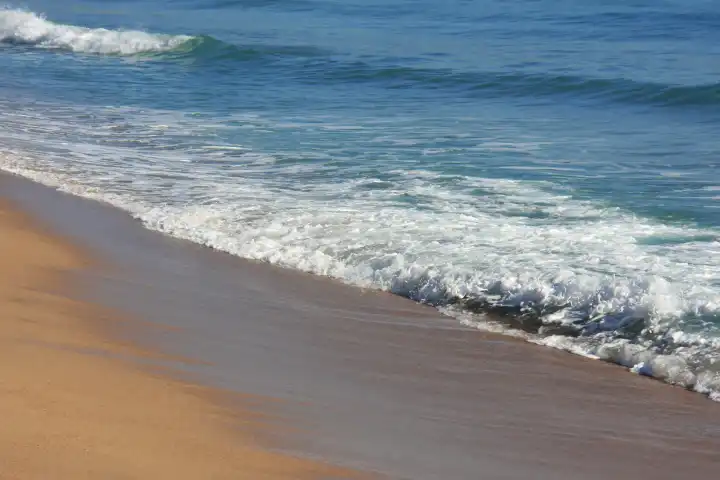 Wave on the sandy beach