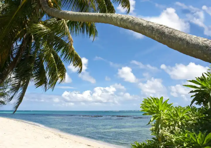Dream Beach Mauritius - Africa