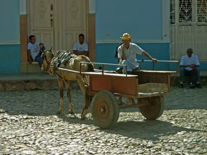 Old Cuban with donkey carts