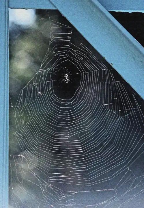 Spinnennetz an Brückengeländer
