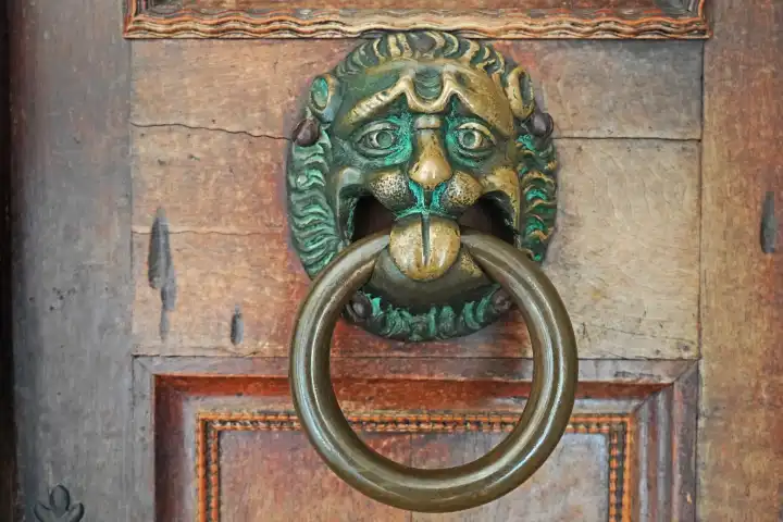 Historical door knocker