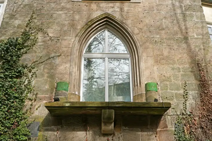 Historic window