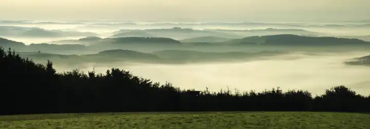 Morning fog at Eifel valleys