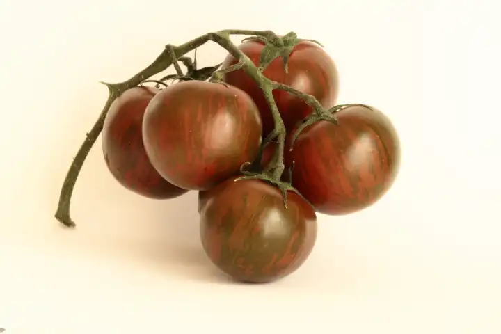 grün rote kleine tomaten