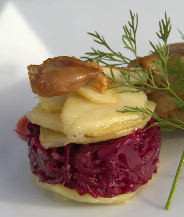 crispy duck leg with red cabbage and potatoes and dill