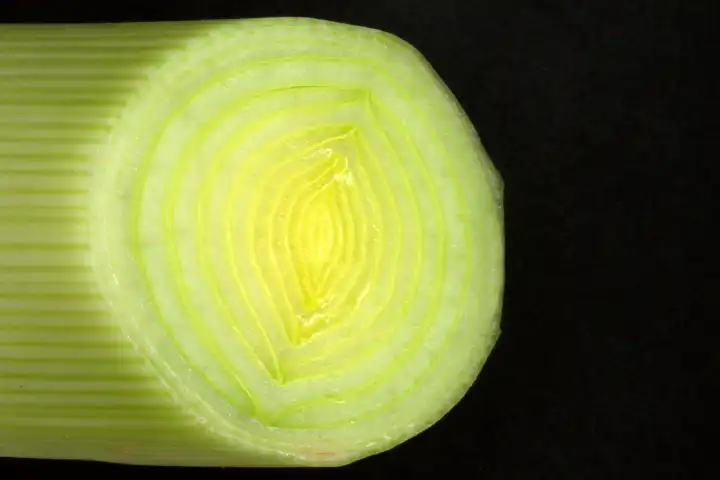 close up vegetable