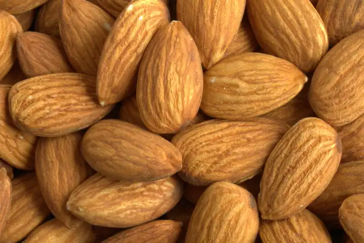 fresh Almonds