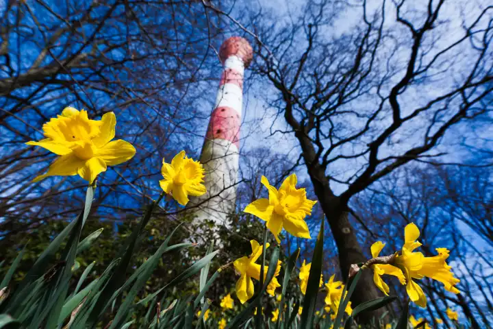 Spring at the lighthouse