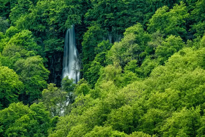 waterfall betweem trees