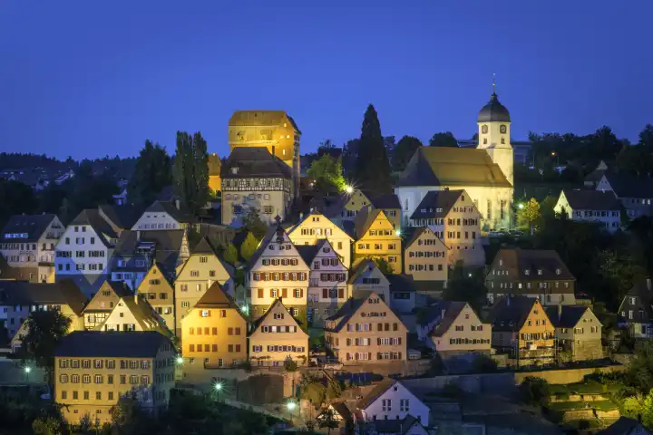 Altensteig city view at night