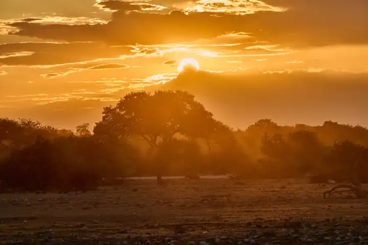 Sonnenuntergang in Etosha, Namibia