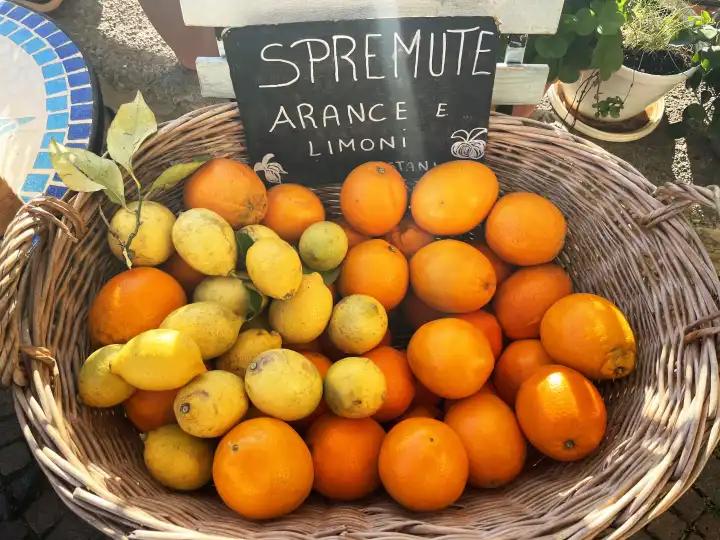 Frische Zitronen und Orangen in Ligurien Italien