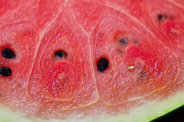 Wassermelone, KI generiert,