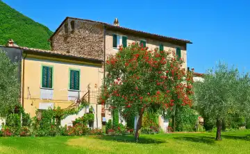 Romantic house in Italy, generated with AI