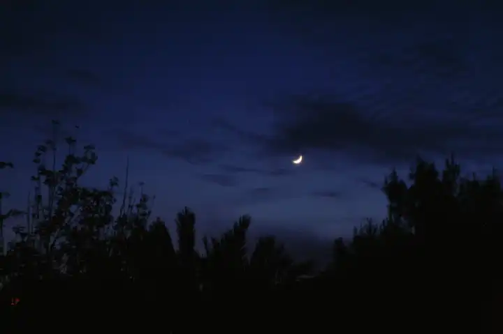 Ein Abend mit Blick zum Mond