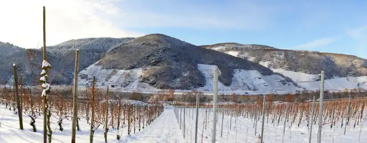 schneebedeckte Weinlandschaft an der Mosel Panorama