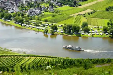 Moselle valley with Wolf