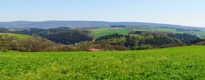 Dhron valley in the Hunsrück in Rhineland-Palatinate Panorama in spring