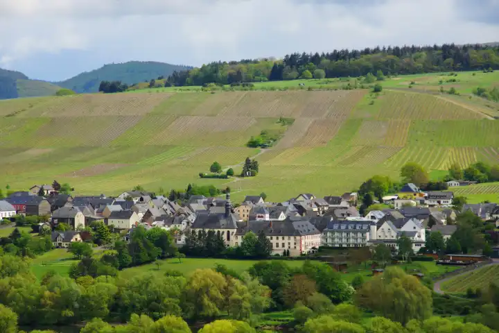Houses in Brauneberg on the Moselle between trees and vineyards