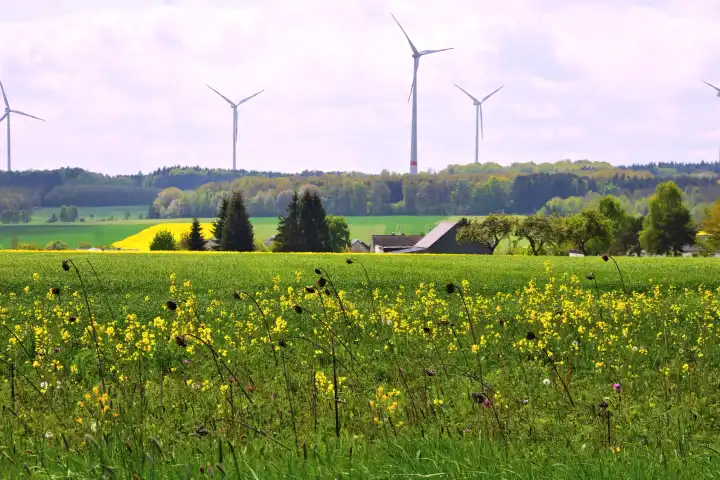 Spring landscape in the Hunsrück with wind turbines and some houses