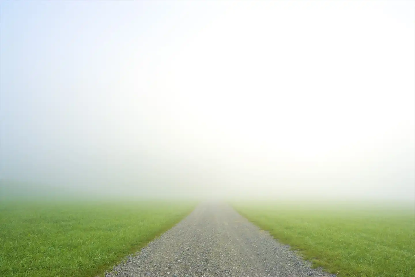 Wiese mit Weg im Nebel, Deutschland, Europa