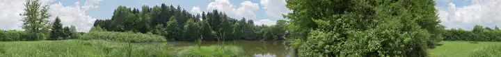 Moorsee Ramsacher Weiher, Bayern, Deutschland