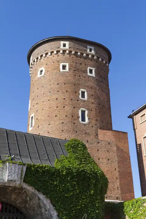 Die Burg Wawel  Krakau  Polen