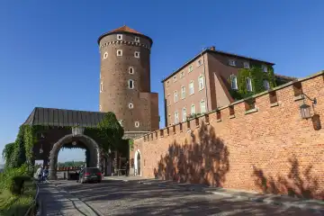Die Burg Wawel  Krakau  Polen