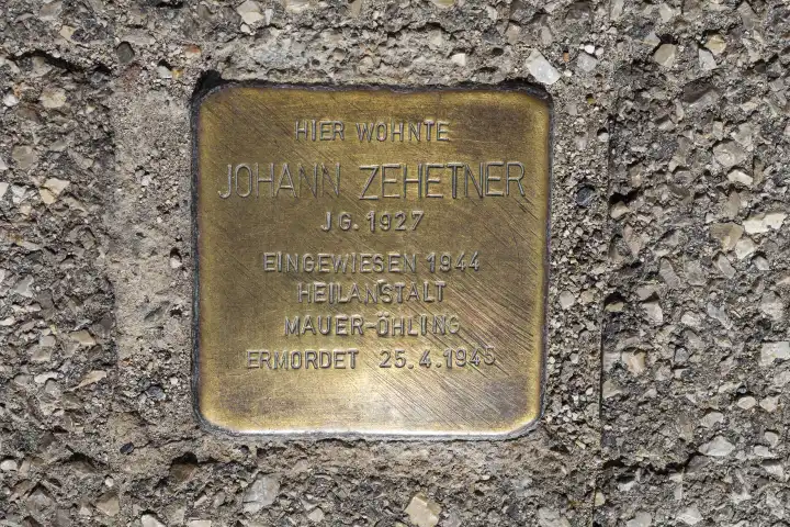 Holocaust memorial stone or stone of remembrance in Wiener Neustadt NÖ, Austria
