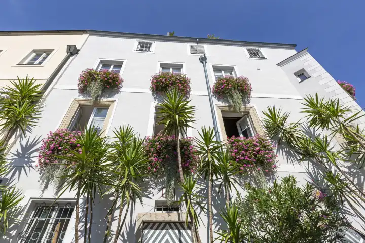 Flowers and plant decoration residential building, Wels, Upper Austria, Austria