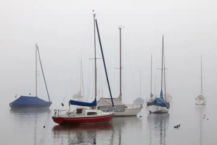 Sailing ships in Fog