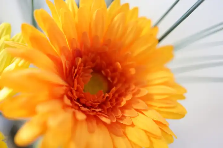 Decoration with one orange flower.
