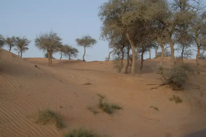 Desert in Ras Al Khaimah