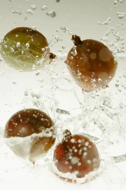 4 Gooseberries fall into the water