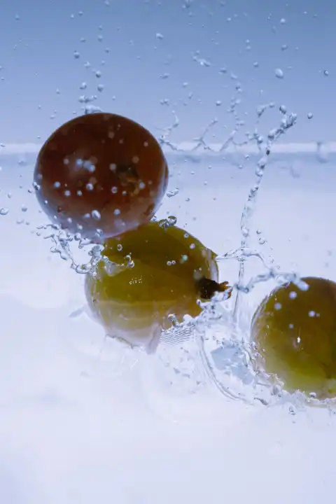 Gooseberries fall into the water