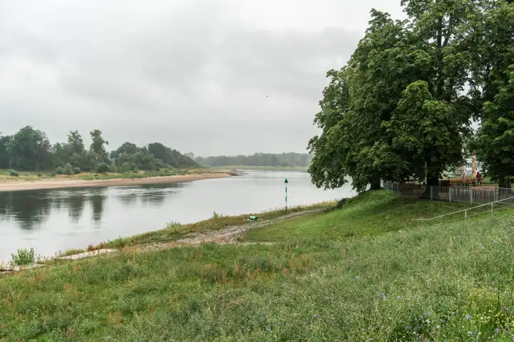Elbe near Dessau