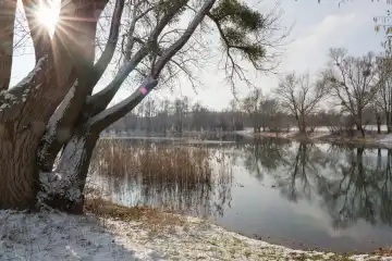 Winterlandschaft, Sonne scheint durch die Äste eines Baumes, der an einem See steht