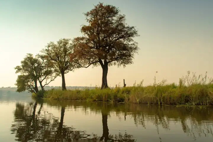 malerische Landschaft am Chobe River, Botswana