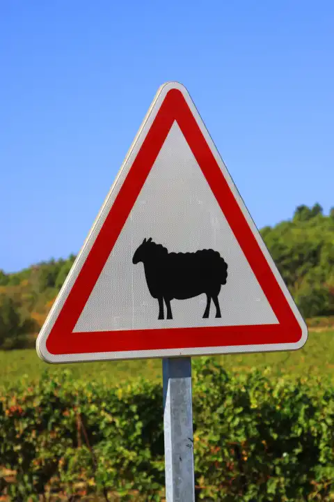 Schaf, Verkehrszeichen, Tiere, Warnschild