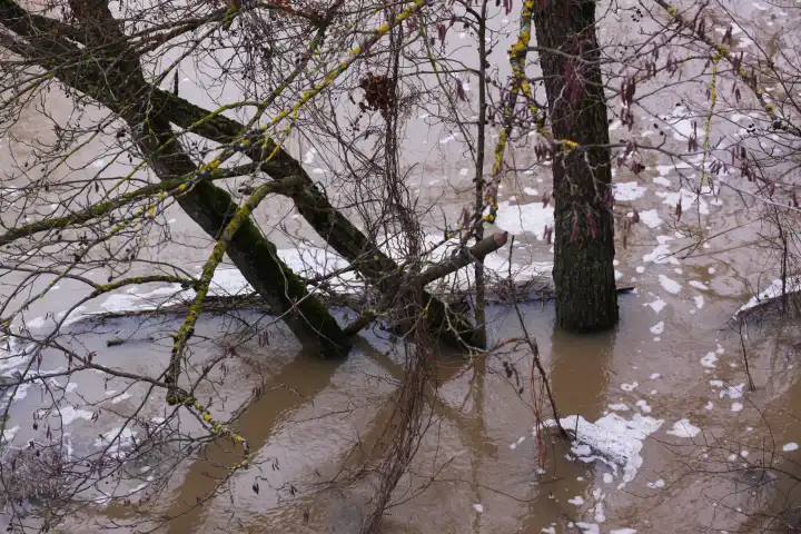 Hochwasser, Wörnitz, Bäume, Winter, Wasser, Fluss