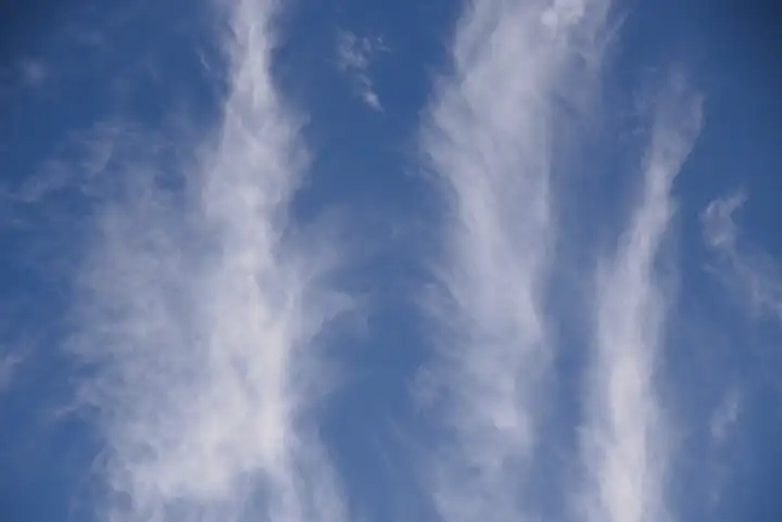 Cirrus clouds in blue sky - cloud formation feather bush