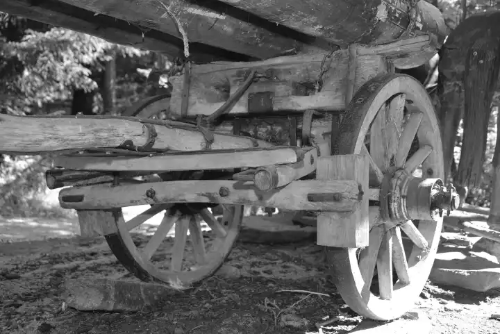 nostalgischer Holzwagen für den historischen Holztransport - schwarz-weiß